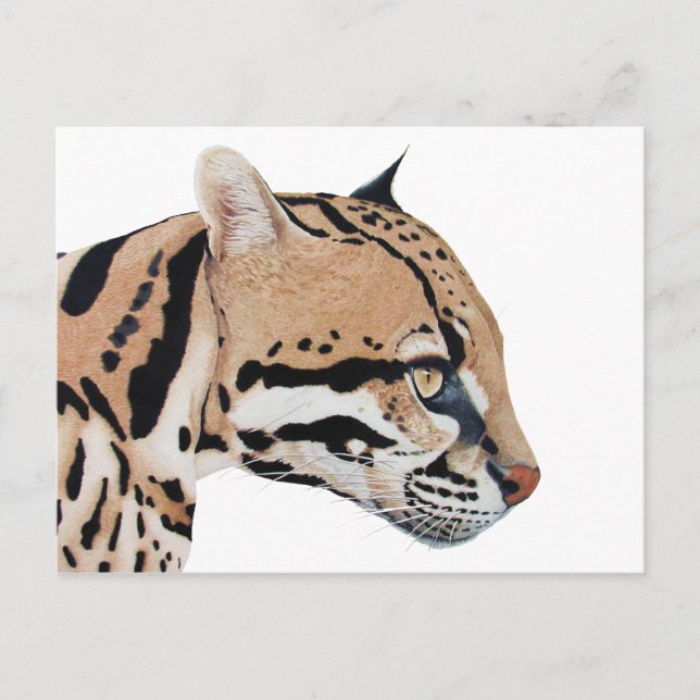 Postal Ocelot (Anverso)
