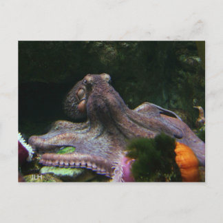 Postal Ocho Maneras De Agarrar