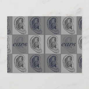 Postal Ocho Orejas Gráfico