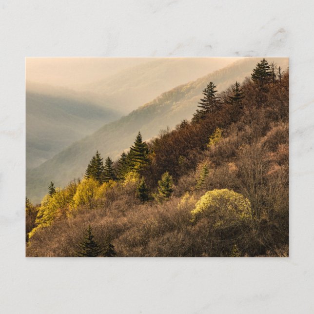 Postal Oconaluftee Valley Overlook | Carolina del Norte (Anverso)