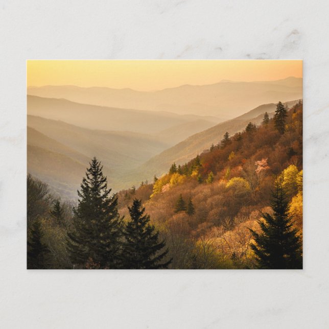 Postal Oconaluftee Valley Overlook | Carolina del Norte (Anverso)