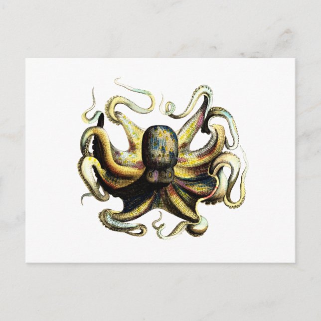 Postal Octopus (Anverso)