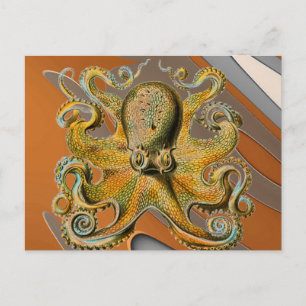 Postal Octopus