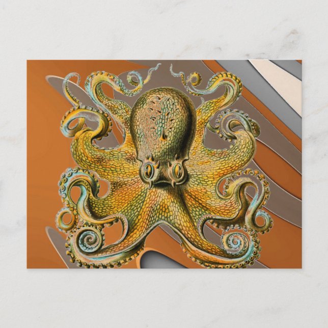 Postal Octopus (Anverso)