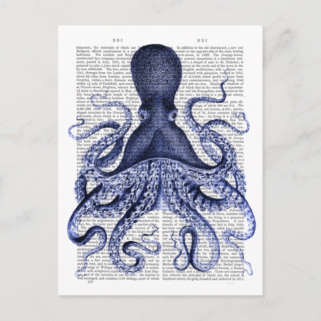 Postal Octopus azul (Anverso)