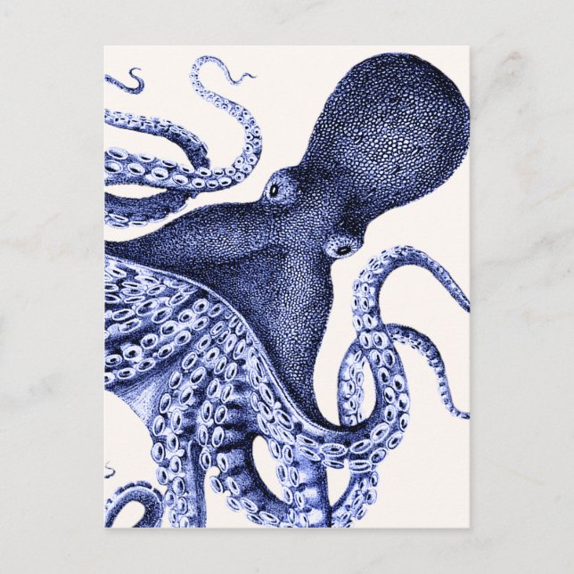 Postal Octopus azul paisajístico (Anverso)