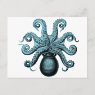 Postal Octopus en Verde azulado