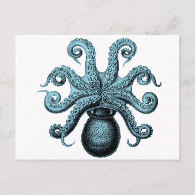 Postal Octopus en Verde azulado (Anverso)