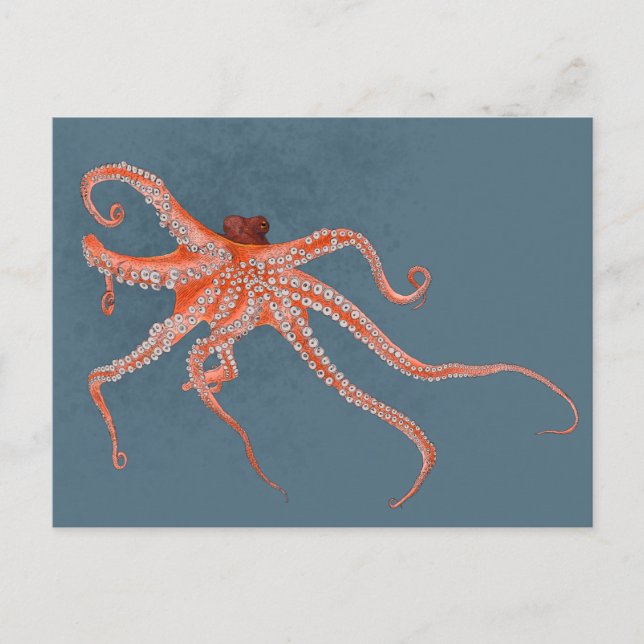 Postal Octopus Hugs (Anverso)