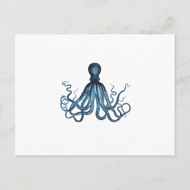 Postal Octopus kraken playa marina costera océano azul (Anverso)
