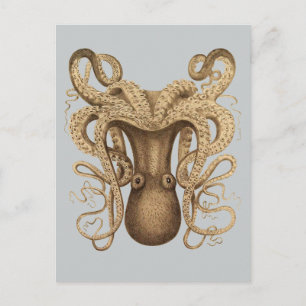 Postal Octopus Marmoratus (azul)