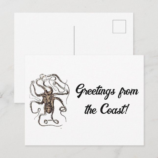Postal Octopus marrón vintage, esbozo de arte de la natur (Anverso / Reverso)
