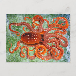 Postal Octopus Ocean Vintage