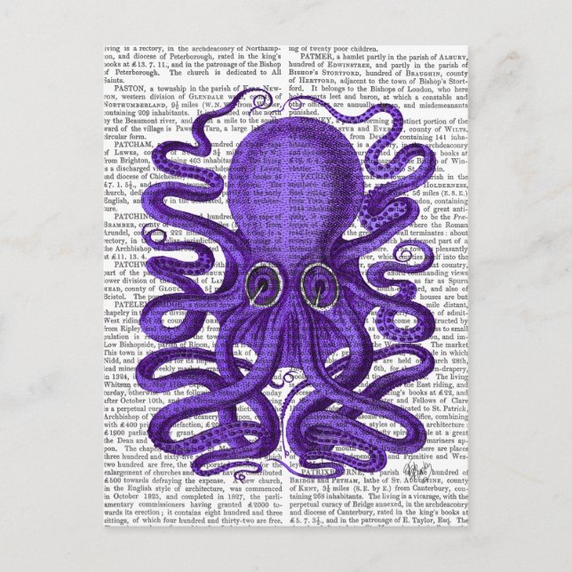 Postal Octopus púrpura (Anverso)