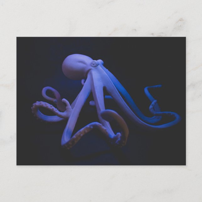 Postal Octopus púrpura (Anverso)