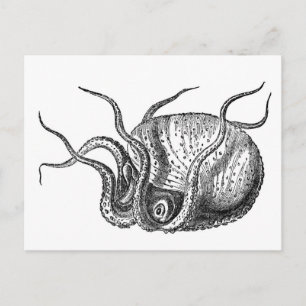 Postal Octopus retro