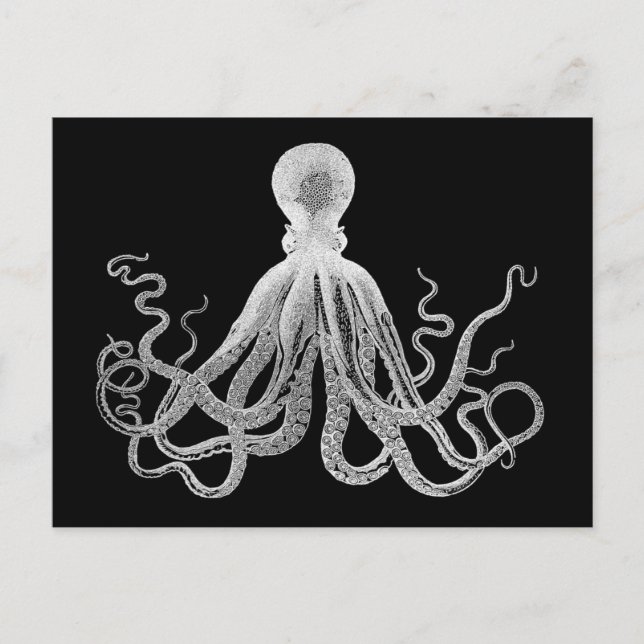 Postal Octopus vintage (Anverso)