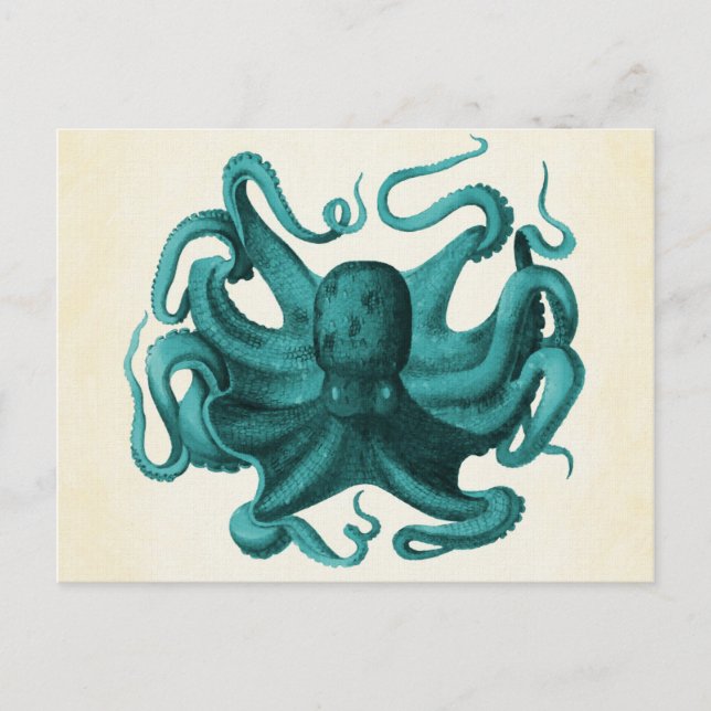 Postal Octopus vintage (Anverso)