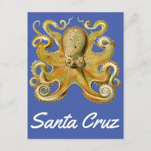 Postal Octopus vintage de Santa Cruz