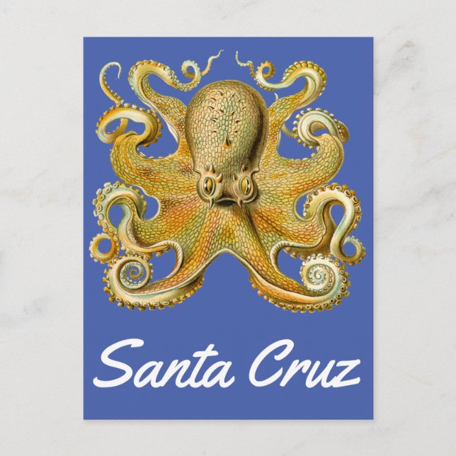 Postal Octopus vintage de Santa Cruz (Anverso)