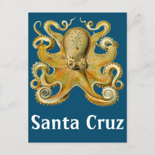 Postal Octopus vintage de Santa Cruz