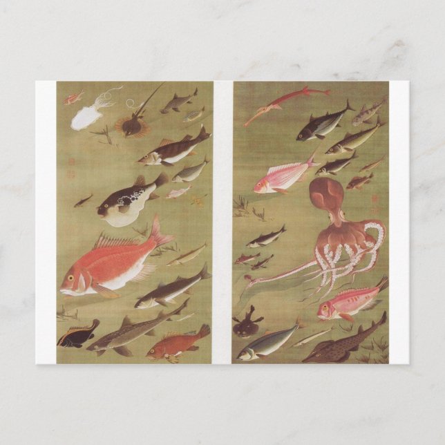 Postal Octopus y peces de Ito Jakuchu (Anverso)