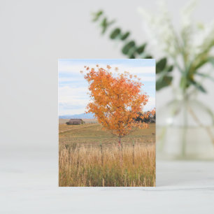 Postal Octubre brillante