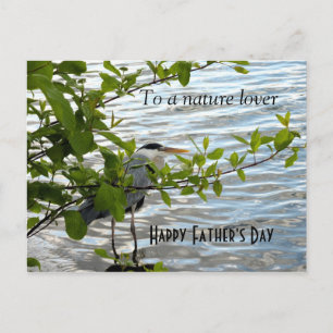 Postal ¡Ocultando a Heron!