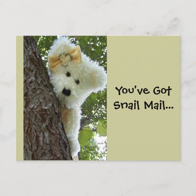 Postal Ocultar y buscar (Anverso)