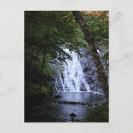 Postal Ocultos a través de los árboles