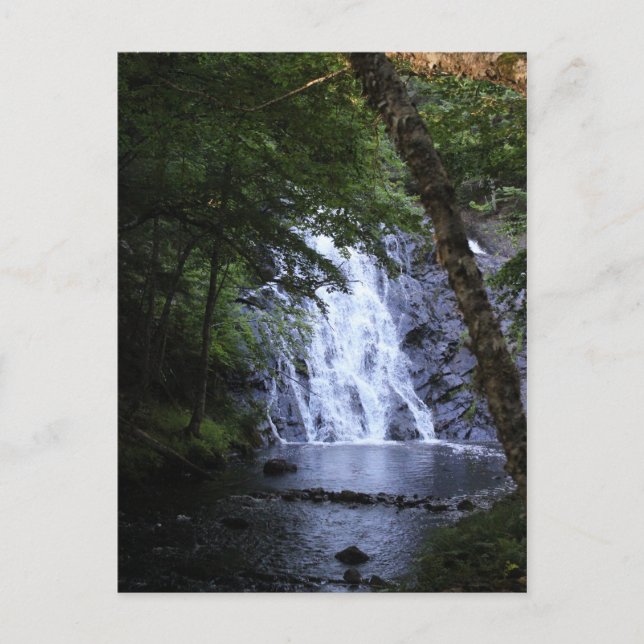 Postal Ocultos a través de los árboles (Anverso)