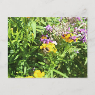 Postal Ocupado número 2