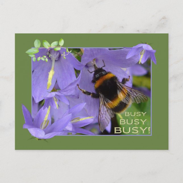 Postal OCUPADO Y OCUPADO ~ Postcard (Anverso)