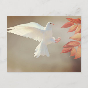Postal Odiar la simpatía religiosa cristiana inspiradora