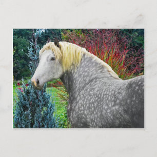 Postal "Odin"