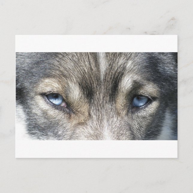 Postal Odins Augen (Anverso)