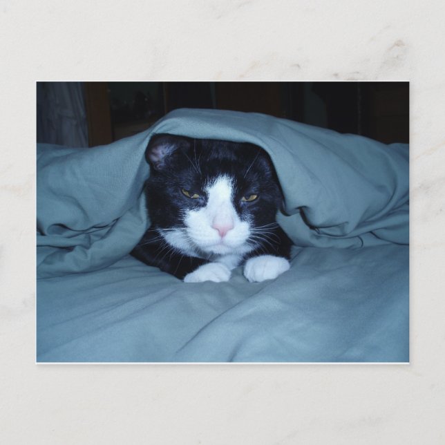 Postal ¡Odio lunes! (Anverso)