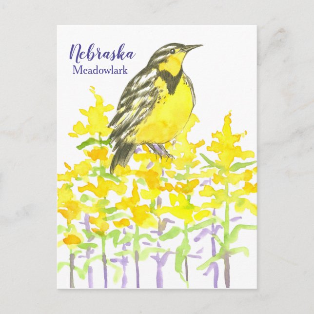 Postal Oeste de Meadowlark Bird Goldenrod Nebraska (Anverso)