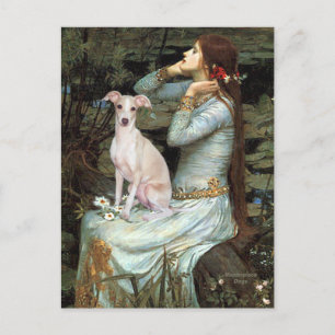 Postal Ofelia - Galgo Italiano 5