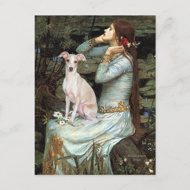 Postal Ofelia - Galgo Italiano 5 (Anverso)
