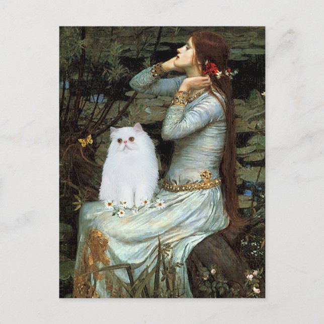 Postal Ofelia - Gatito Persa Blanco (Anverso)