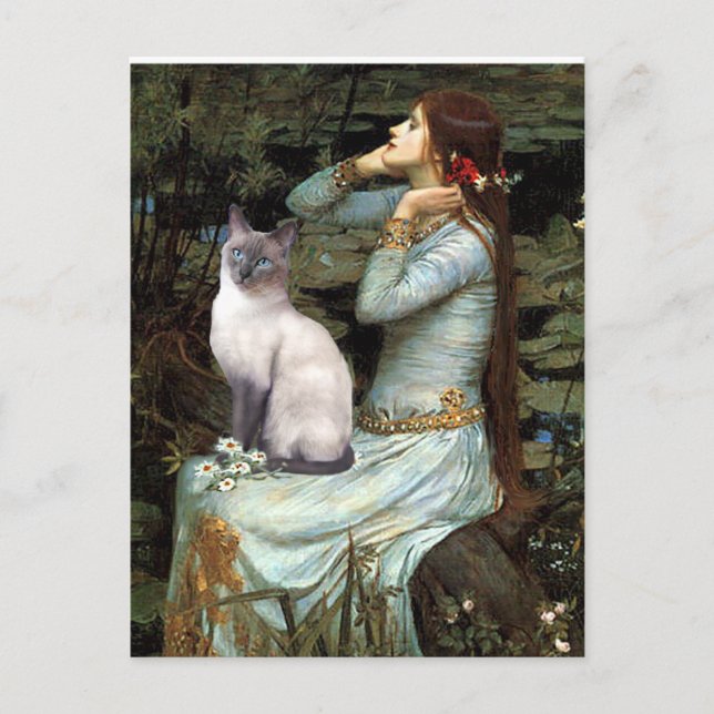 Postal Ófelia - gato siamés de punto azul (Anverso)