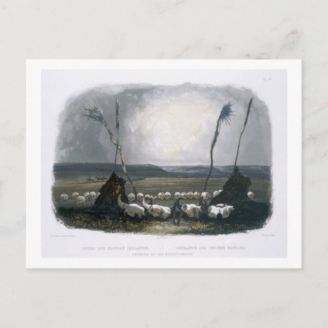 Postal Oferta del Mandan de los Indios, plato 14 de tutor (Anverso)