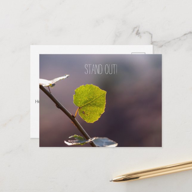 Postal Oferta motivacional/inspiradora, añada su propio p (Anverso/Reverso In Situ)