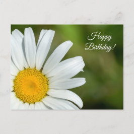 Postal Offset Daisy Happy Birday Postcard