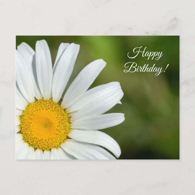 Postal Offset Daisy Happy Birday Postcard (Anverso)