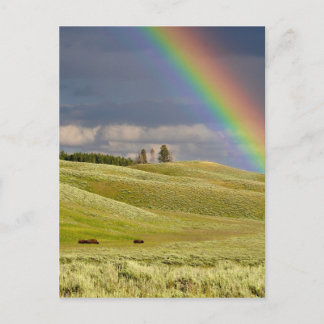 Postal Oficina De Cielos Arcoiris Personaliza Destiny Des