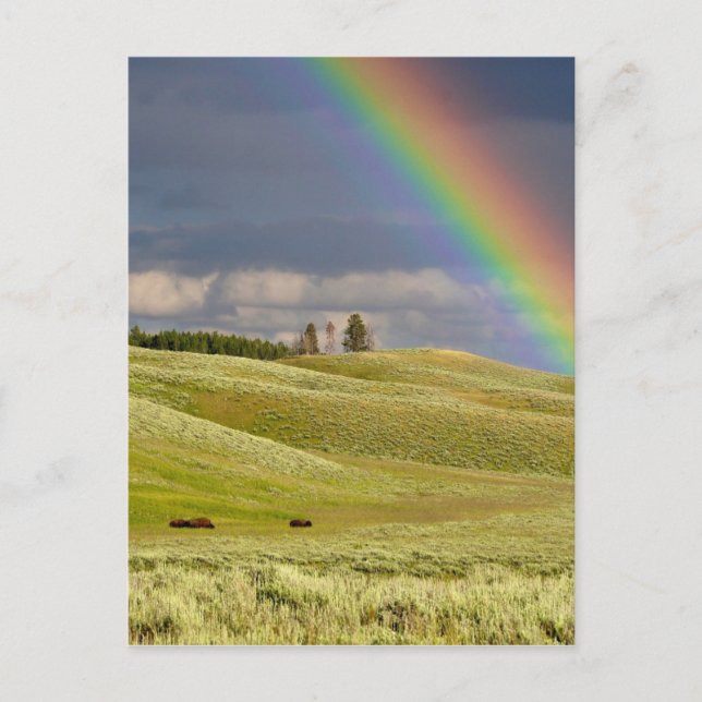 Postal Oficina De Cielos Arcoiris Personaliza Destiny Des (Anverso)