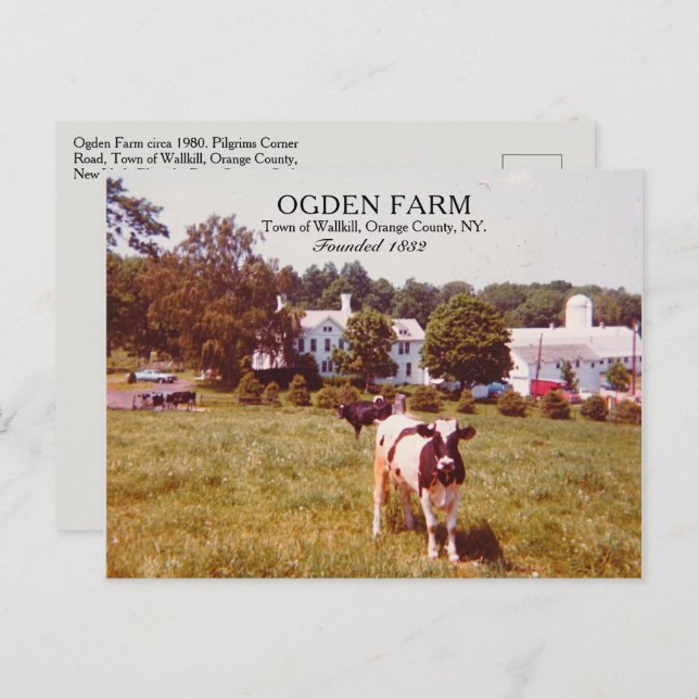 Postal Ogden Farm Town of Wallkill Naranja County NY 1980 (Anverso / Reverso)