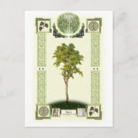 Ogham Birch